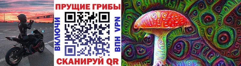 Галлюциногенные грибы GOLDEN TEACHER  Купить  Карасук 