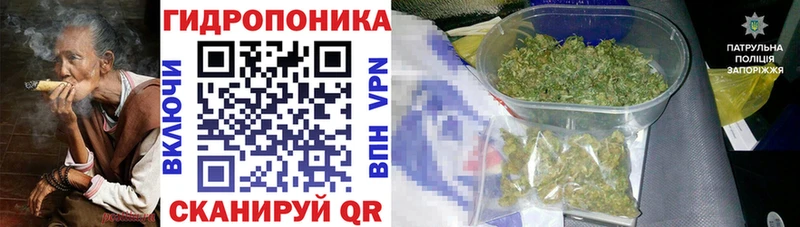 Канабис марихуана  Купить где  Карасук 